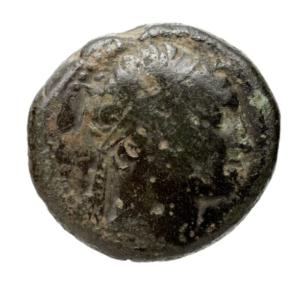 Seleucid Coins (part 2) 1672, аверс, bnf-hrc