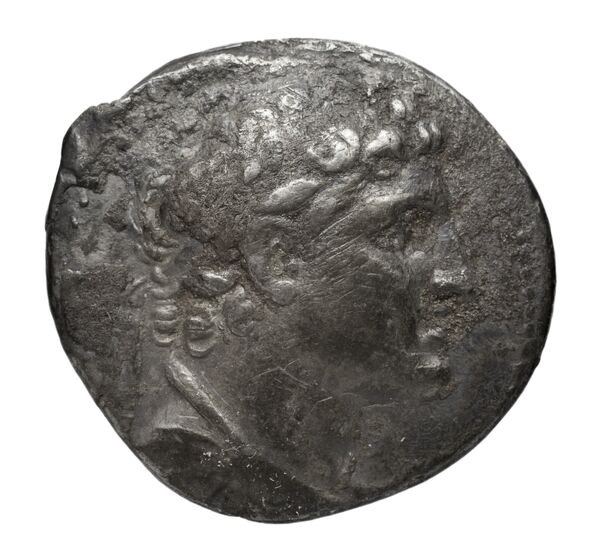 аверс Seleucid Coins (part 2) 1835.2b