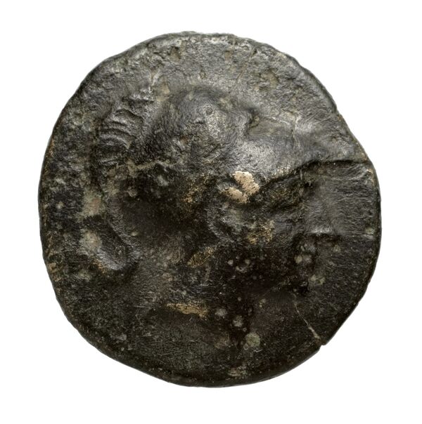 Newell Demetrius Poliorcetes, no. 163, аверс, bnf-hrc