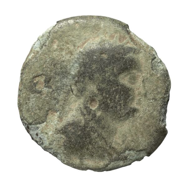 Coins of the Ptolemaic Empire Vol. I, Part II, no. B407, аверс, bnf-hrc