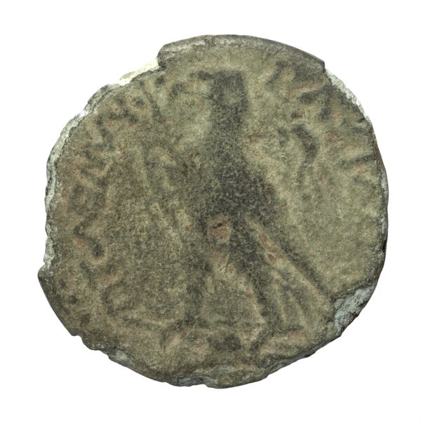 Coins of the Ptolemaic Empire Vol. I, Part II, no. B407, реверс, bnf-hrc