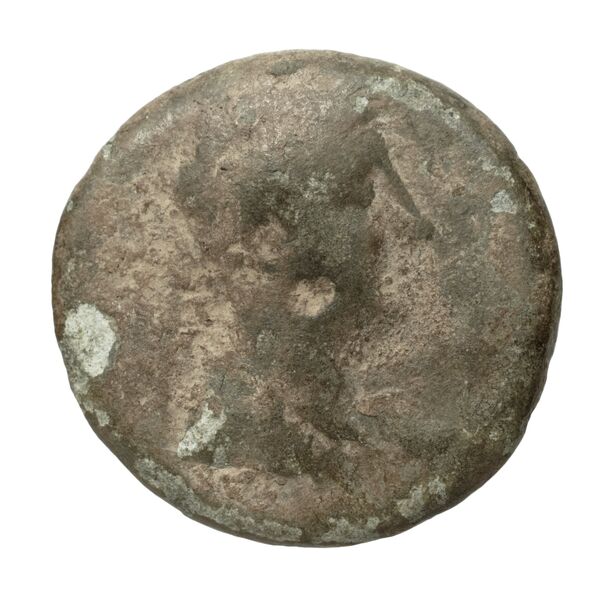 Coins of the Ptolemaic Empire Vol. I, Part II, no. B407, аверс, bnf-hrc
