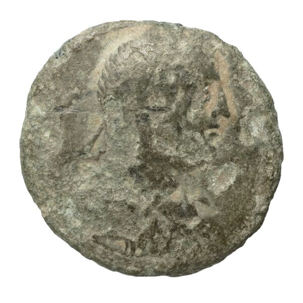 Coins of the Ptolemaic Empire Vol. I, Part II, no. B407, аверс, bnf-hrc