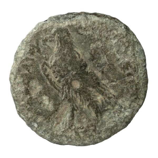 Coins of the Ptolemaic Empire Vol. I, Part II, no. B407, реверс, bnf-hrc
