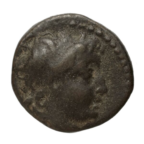 аверс Seleucid Coins (part 2) 1928a