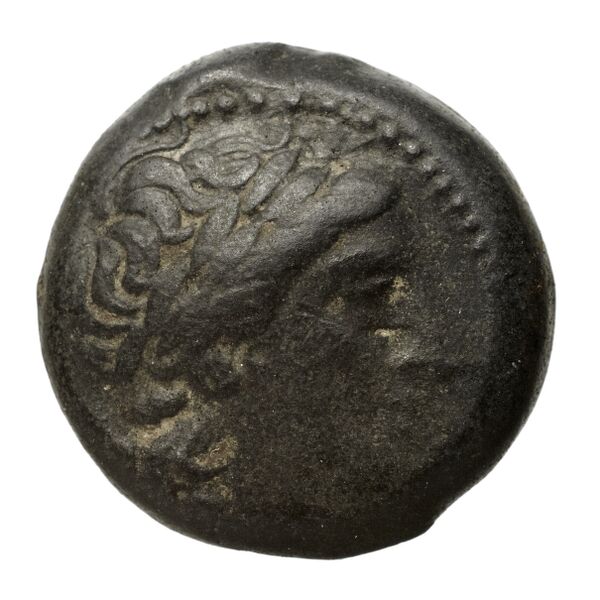 Seleucid Coins (part 1) 15.1, аверс, bnf-hrc