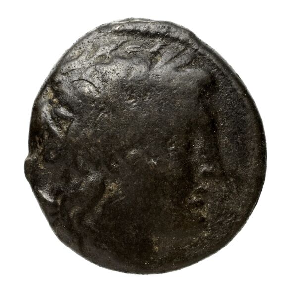 obverse Seleucid Coins (part 1) 17.3