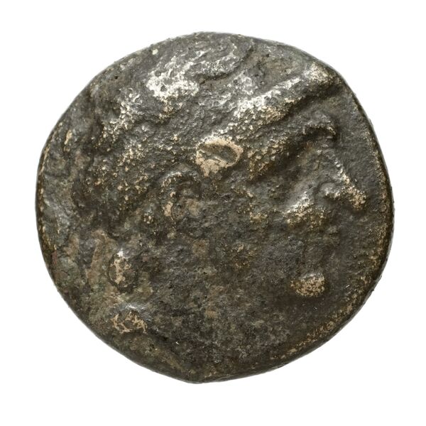 Seleucid Coins (part 1) 351.1, аверс, bnf-hrc