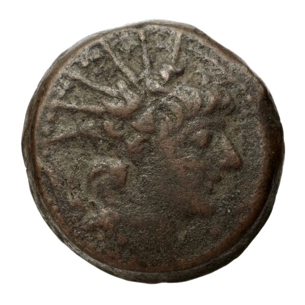 аверс Seleucid Coins (part 2) 2233.1d