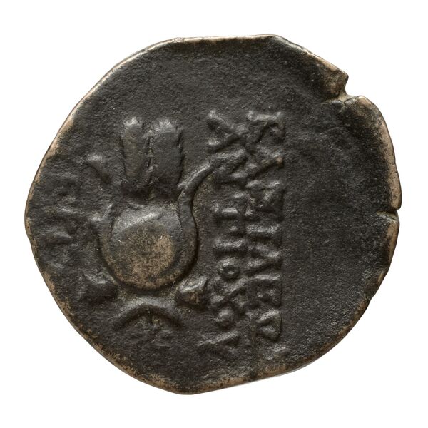 Seleucid Coins (part 2) 2067, реверс, bnf-hrc