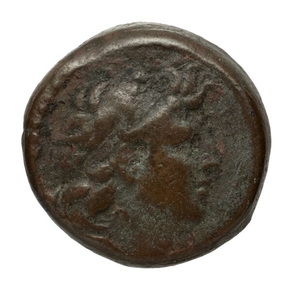 Seleucid Coins (part 2) 2034.2e, аверс, bnf-hrc