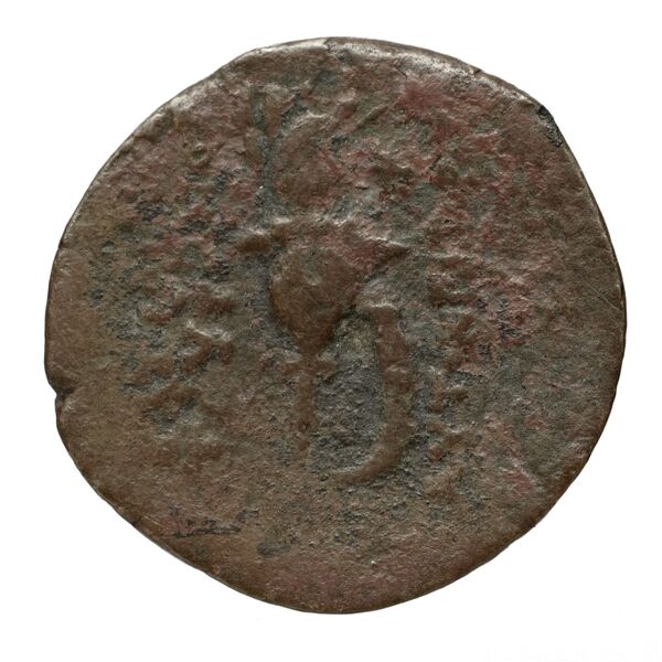 Seleucid Coins (part 2) 2034.2e, реверс, bnf-hrc