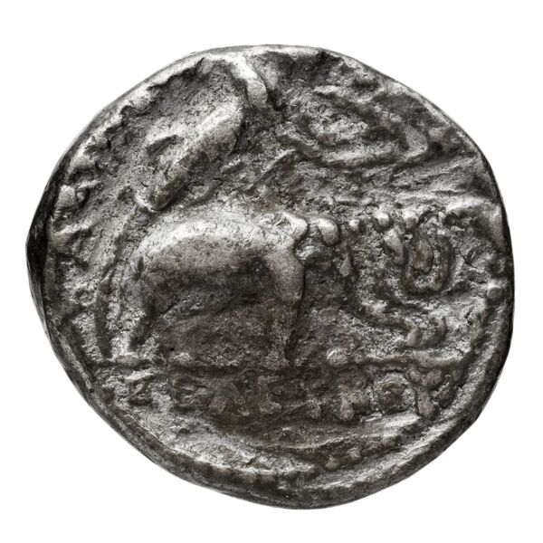 реверс Seleucid Coins (part 1) 131