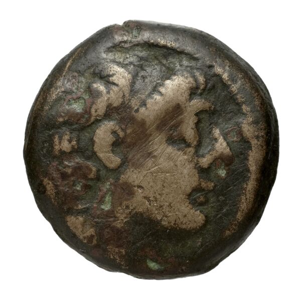 Seleucid Coins (part 2) 2373, аверс, bnf-hrc