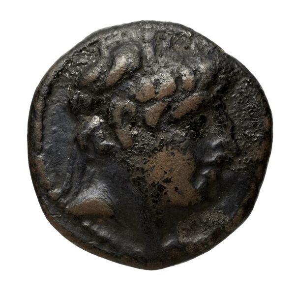 аверс Seleucid Coins (part 2) 2342