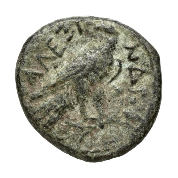 Price 161, реверс, bnf-hrc