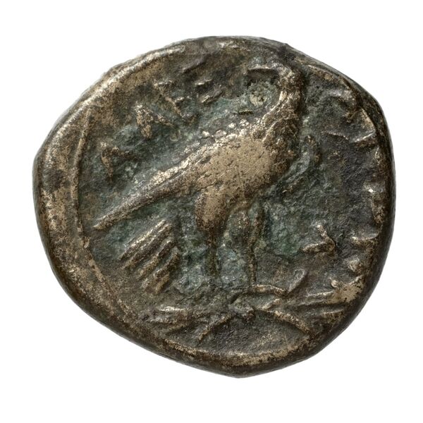 Price 161, реверс, bnf-hrc