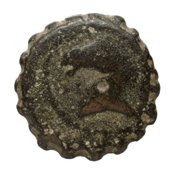 Seleucid Coins (part 2) 1646, аверс, bnf-hrc