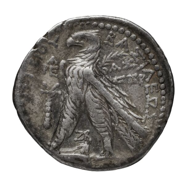 реверс Seleucid Coins (part 2) 2196.4a
