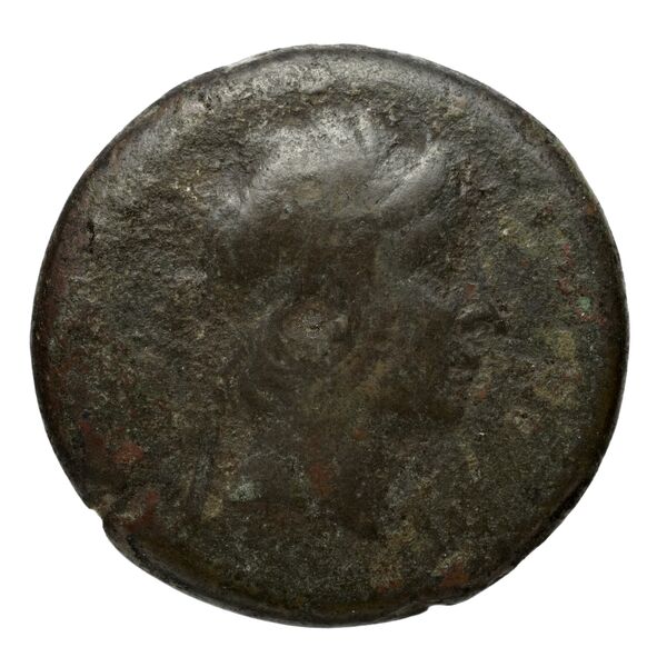 obverse Seleucid Coins (part 1) 709