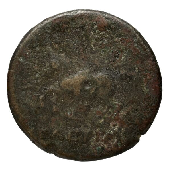 reverse Seleucid Coins (part 1) 709