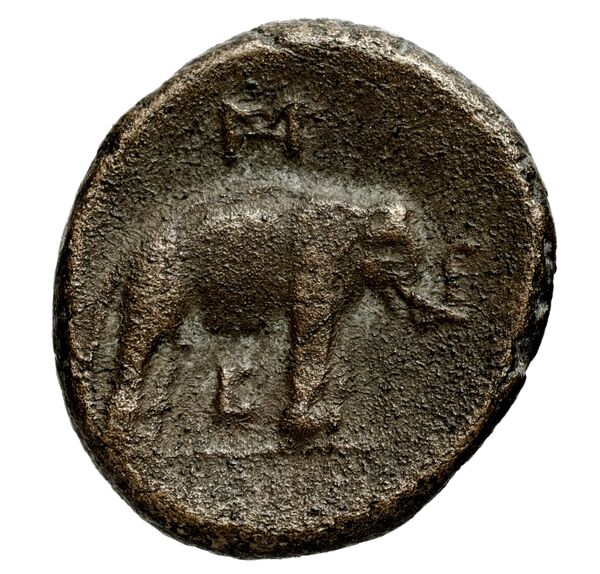 Seleucid Coins (part 1) 128a, реверс, bnf-hrc
