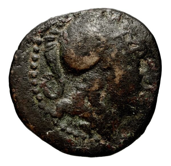 Seleucid Coins (part 1) 128b, аверс, bnf-hrc