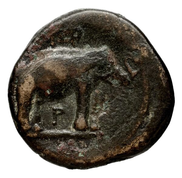 Seleucid Coins (part 1) 128b, реверс, bnf-hrc