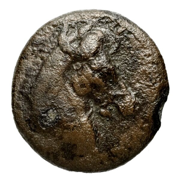 Seleucid Coins (part 1) 146, аверс, bnf-hrc