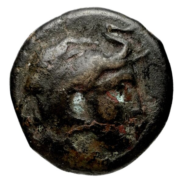 Seleucid Coins (part 1) 189.1, аверс, bnf-hrc