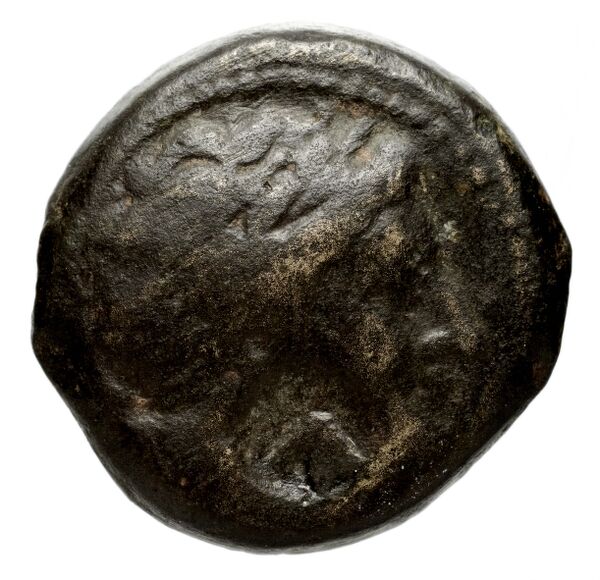 Seleucid Coins (part 1) 15.2, аверс, bnf-hrc