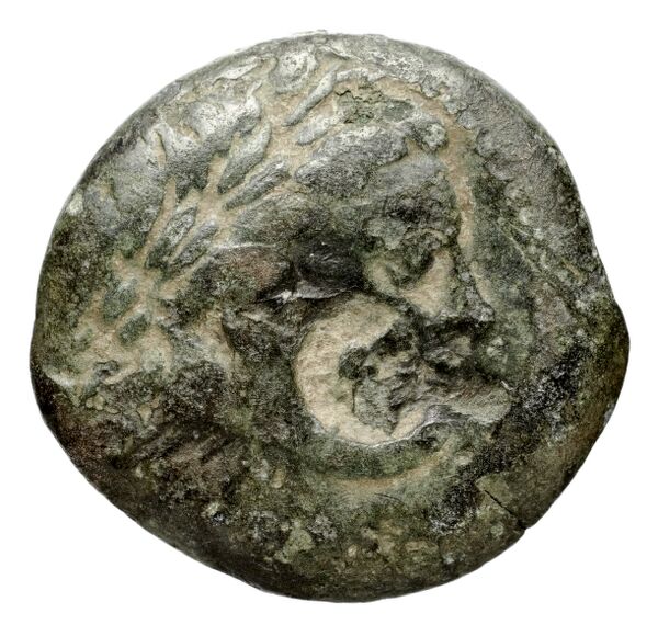 Seleucid Coins (part 1) 15.2, аверс, bnf-hrc