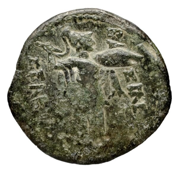 Seleucid Coins (part 1) 15.2, реверс, bnf-hrc