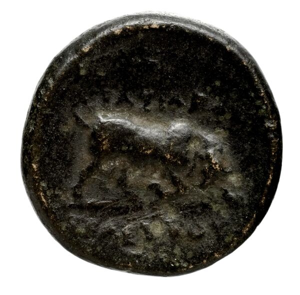 reverse Seleucid Coins (part 1) 22.2