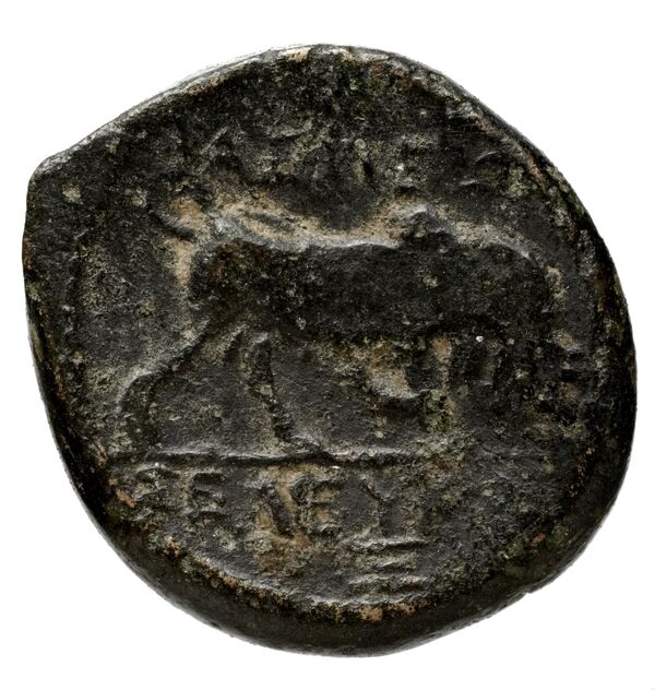 Seleucid Coins (part 1) 21.2b, реверс, bnf-hrc