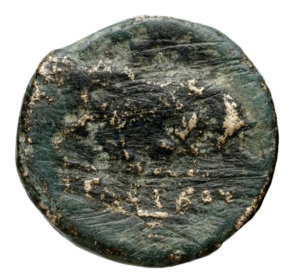 Seleucid Coins (part 1) 21.2b, реверс, bnf-hrc