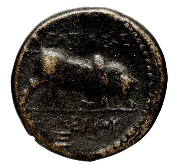 Seleucid Coins (part 1) 21.2b, реверс, bnf-hrc