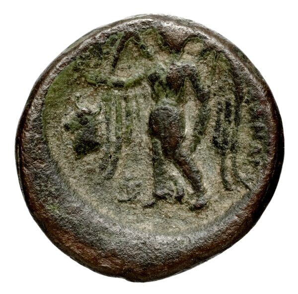 реверс Seleucid Coins (part 1) 222