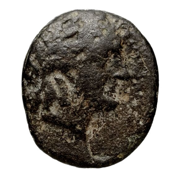 аверс Seleucid Coins (part 1) 337b