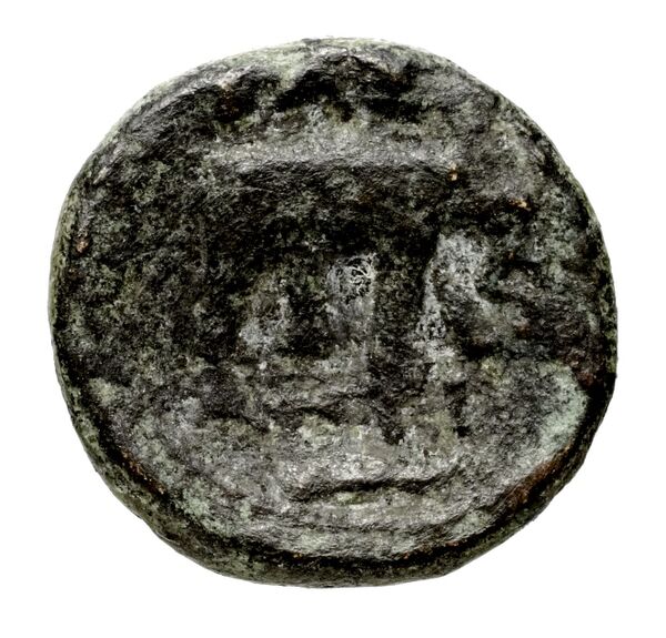 реверс Seleucid Coins (part 1) 341