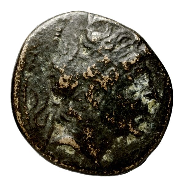 Seleucid Coins (part 1) 351.1a, аверс, bnf-hrc