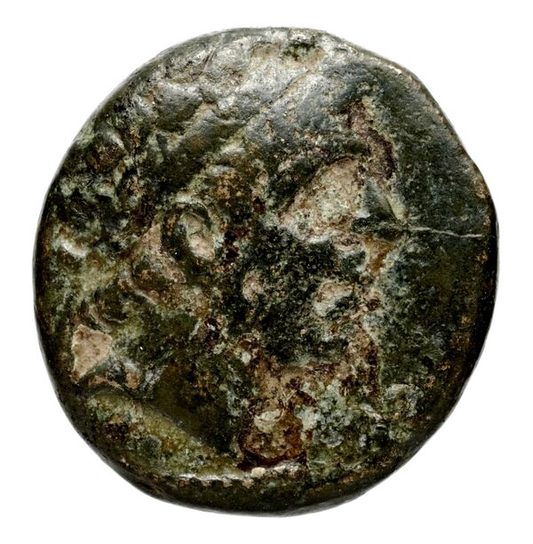 Seleucid Coins (part 1) 351, аверс, bnf-hrc