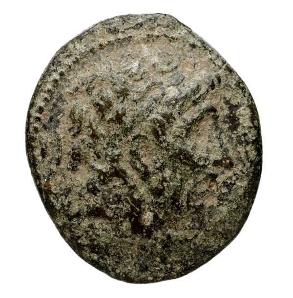 Seleucid Coins (part 1) 351.1a, аверс, bnf-hrc
