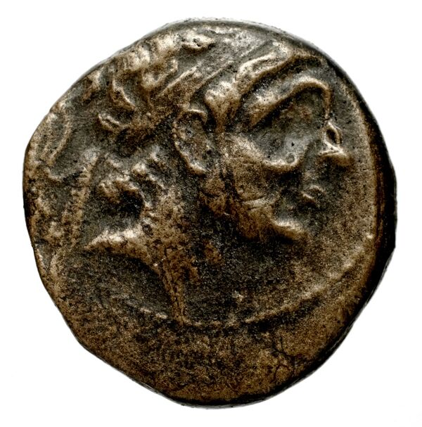 Seleucid Coins (part 1) 351.1a, аверс, bnf-hrc