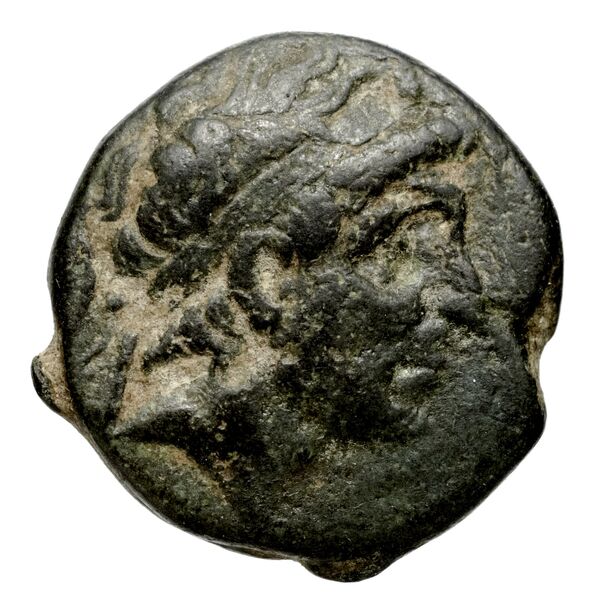 Seleucid Coins (part 1) 351, аверс, bnf-hrc