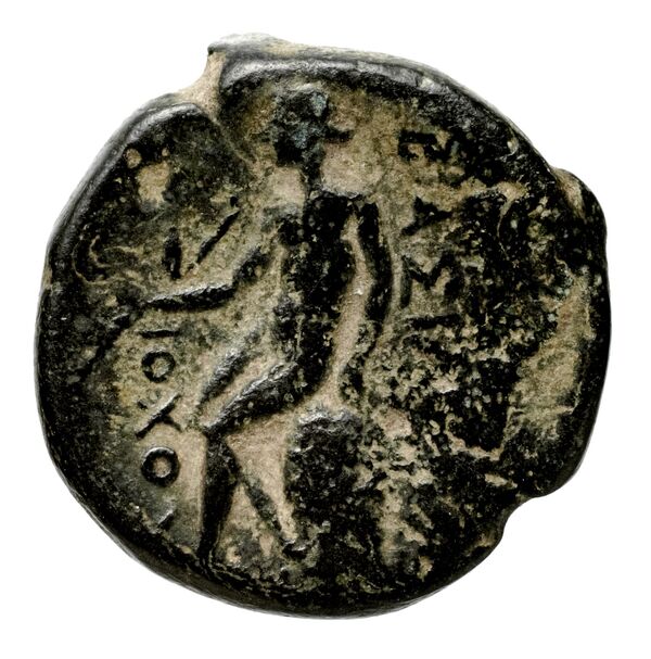 Seleucid Coins (part 1) 351, реверс, bnf-hrc