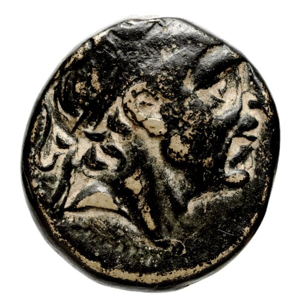Seleucid Coins (part 1) 351.1b, аверс, bnf-hrc