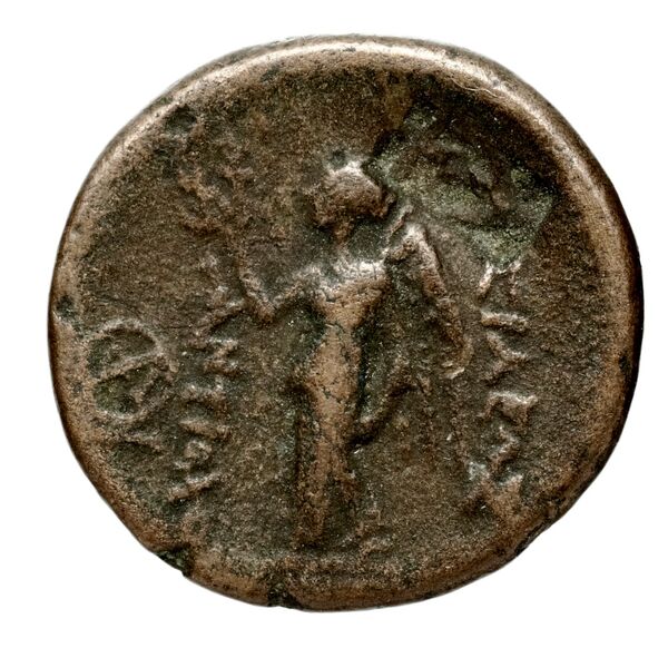 Seleucid Coins (part 1) 315a, реверс, bnf-hrc