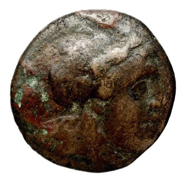 Seleucid Coins (part 1) 522, аверс, bnf-hrc