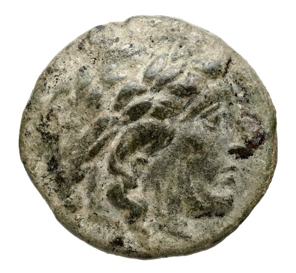 аверс Seleucid Coins (part 1) 537